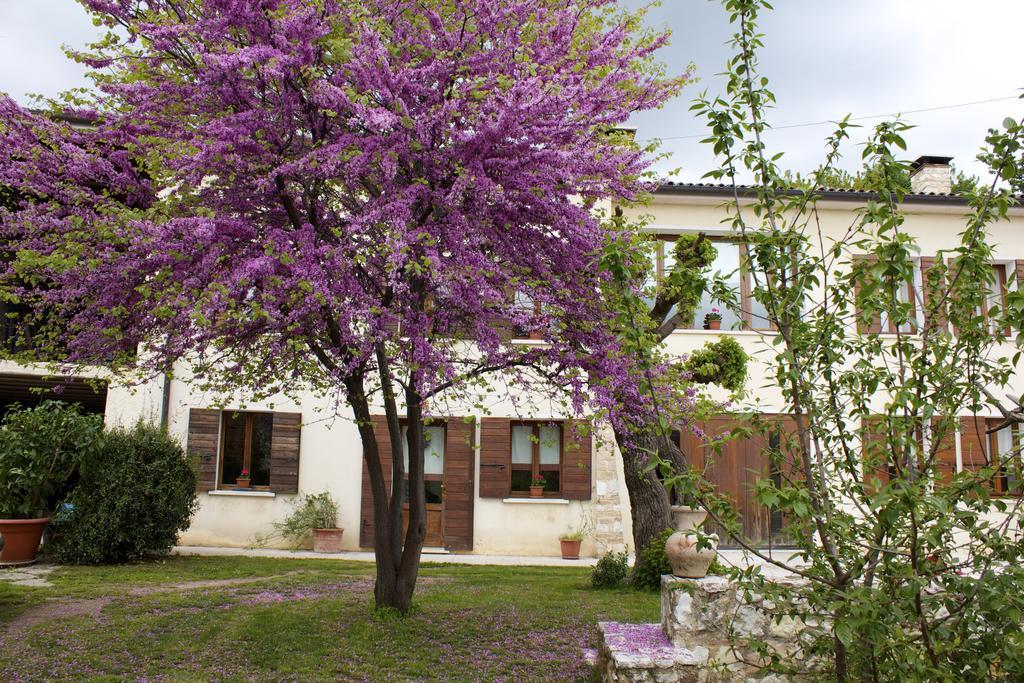 B&B Altè Paderno del Grappa Extérieur photo